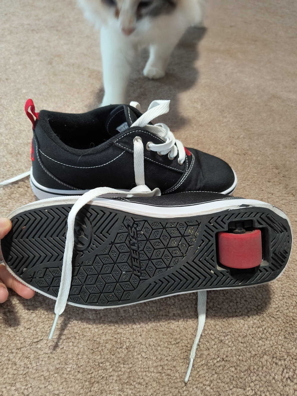 Heelys Black Canvas Skate Shoe Red And Black Youth Size 5 - Picture 5 of 5